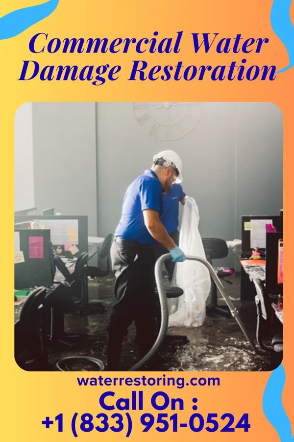 Commercial Water Damage Restoration in Crab Orchard, IL